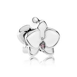 Biała orchidea 792074EN12