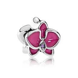 Różowa orchidea 792074EN69