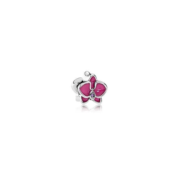 Różowa orchidea 792074EN69
