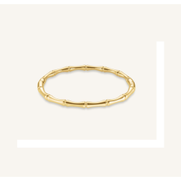 BRANSOLETKA ROSEFIELD JBSBG-J1197